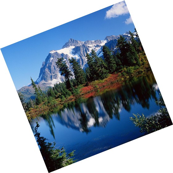 Social,Ethical,and human issues: standard: BCS-CA 1-1