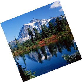 Social,Ethical,and human issues: standard: BCS-CA 1-1