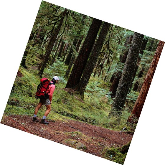 communication: Standards 7 & 8: BCS-CA1-8